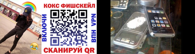 Купить закладки  Гагарин  COCAIN FishScale 