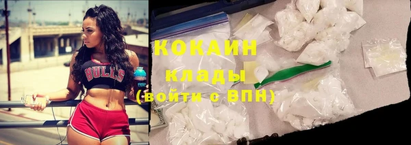 трава Инта