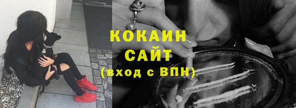 индика Каменногорск
