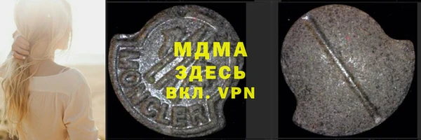 индика Каменногорск
