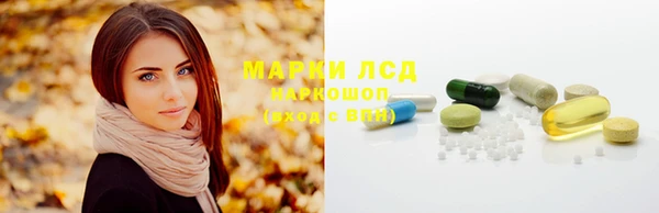 индика Каменногорск