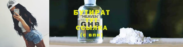 индика Каменногорск