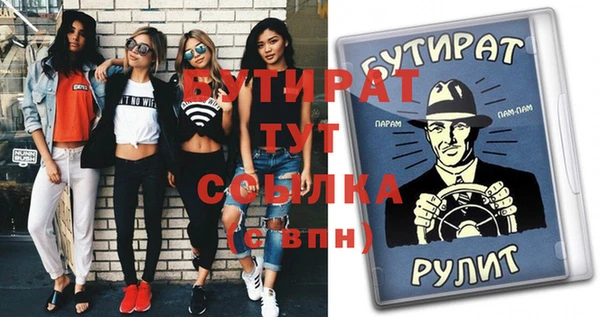 индика Каменногорск