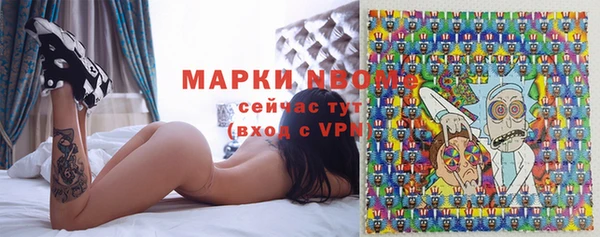 индика Каменногорск