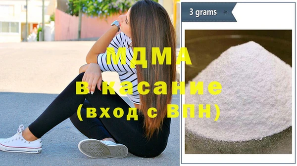 индика Каменногорск