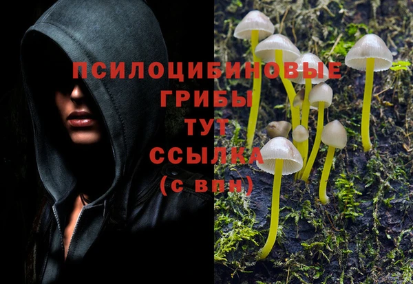 соль ск Каменск-Шахтинский