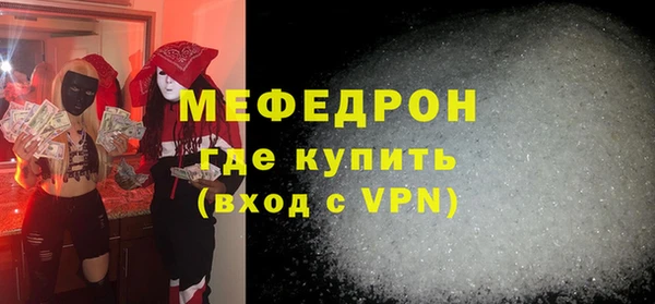 индика Каменногорск