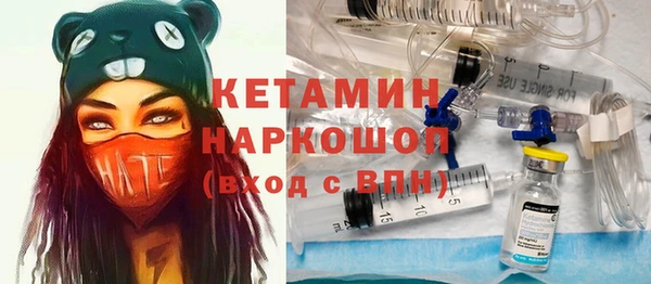 индика Каменногорск