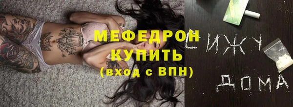 индика Каменногорск