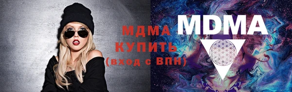 индика Каменногорск