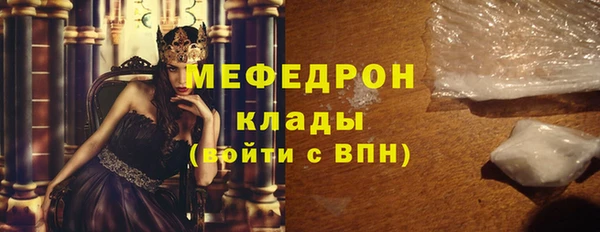 индика Каменногорск