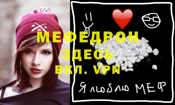 индика Каменногорск