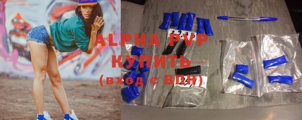 индика Каменногорск