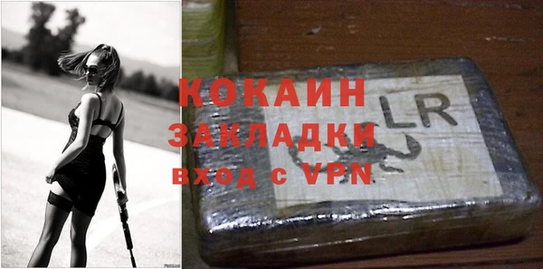 индика Каменногорск