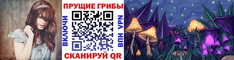 Купить  Гагарин  Галлюциногенные грибы прущие грибы 